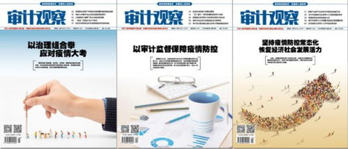 审计观察 为疫情防控提供精准信息服务