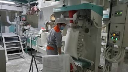 春耕吹响集结号!广东农业生产加快复工“战疫”